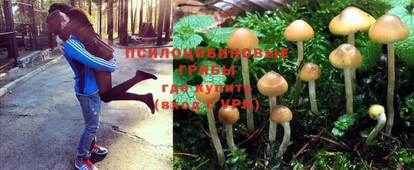 spice Балабаново