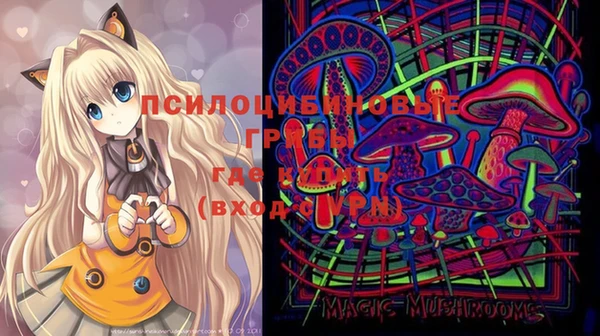 spice Балабаново
